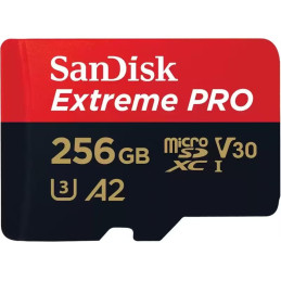 SanDisk - Carte microSDXC...