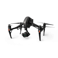 DJI Pro